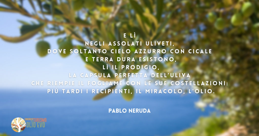 Pablo Neruda, “Io amo le patrie dell’olio” - Consorzio Turismo dell'Olio Evo, DOP, IPG e Bio